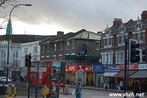 創(chuàng)意屋頂設(shè)計(jì)